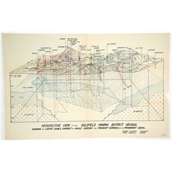 Perspective View of the Goldfield Mining District, Nevada