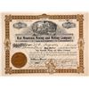 Image 1 : Red Mountain Gold Mining and Milling Company Stock Certificate - with a Twist