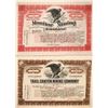 Image 1 : Two Oddie Stocks that Spelled his demise!