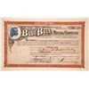 Image 1 : Blue Bull Mining Company Stock Certificate