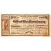 Image 1 : Douglas Gold & Silver Mining Co. Stock Certificate, Blue Sulphur Spring District, Nevada Territory, 