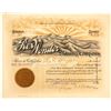 Image 1 : The Rex Wonder Mining Co. Stock Certificate, 1907
