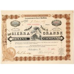 Sierra Grande Mining Company Stock Certificate, Lake Valley, NM 1883