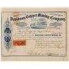 Image 1 : Davidson Copper Mining Company Stock Certificate