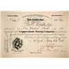 Image 1 : Copper Knob Mining Company Stock Certificate