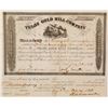 Image 1 : Telos Gold Hill Company Stock Certificate