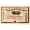 Image 1 : Granville Gold Company of New York Stock Certificate