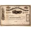 Image 1 : Roberts Petroleum Torpedo Company Stock Certificate