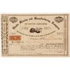 Image 1 : Wando Mining and Manufacturing Company of South Carolina Stock Certificate