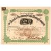 Image 1 : Detroit & Deadwood Gold Mining Co. Stock Certificate, 1898