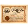 Image 1 : Oro Hondo Mining Co. Stock Certificate, Lead City, SD, 1903
