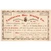 Image 1 : California Boy Mining Company Stock Certificate, Ophir District, Utah, 1875