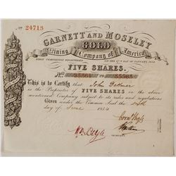 Garnett and Moseley Gold Mining Company Stock Certificate