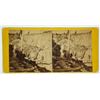 Image 1 : Miner Amongst Hydraulic Mining Works Stereoview