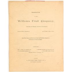 Prospectus for Willows Fruit Company, c.1891