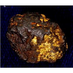 Georgia Gold Specimen