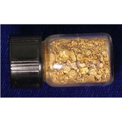 Placer Gold from The Chestatee River