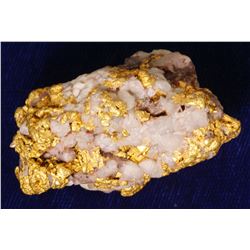 Gold in Quartz Nugget