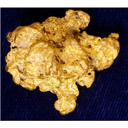 Gold Nugget