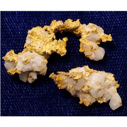 Royal Mine Gold Specimens