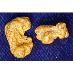 SS Central America Gold Nuggets