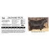 Image 1 : Fast Payweight 1682 794