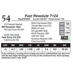 Fast Resolute 7124