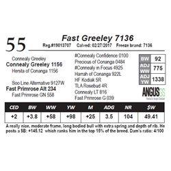 Fast Greeley 7136