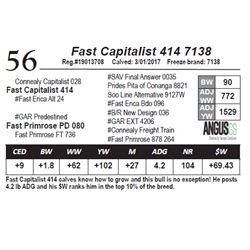 Fast Capitalist 414 7138