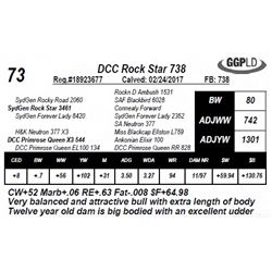 DCC Rock Star 738