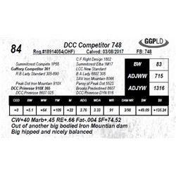 DCC Competitor 748