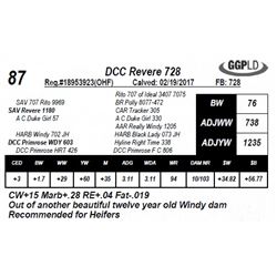 DCC Revere 728