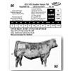 Image 1 : DCC PD Double Vision 750