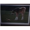 Image 2 : PASTURE PATROL BY GLENN OLSON #24648
