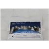 Image 2 : DOUBLE SIZE SERTA PERFECT SLEEPER SAXON MATTRESS AND BOX ON ROLLER FRAME