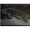 Image 2 : MORNING LIGHT BOBCAT BY RANDY FEHR 24697 LEP 6/20