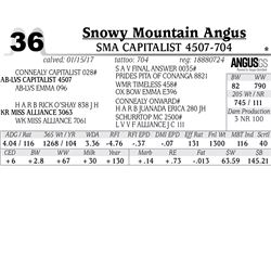 Lot - 36 - SMA Capitalist 4507-704