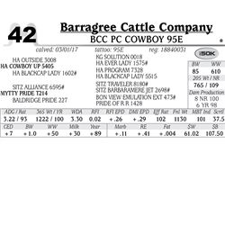 Lot - 42 - BCC PC Cowboy 95E