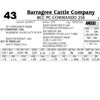 Image 1 : Lot - 43 - BCC PC Commando 25E