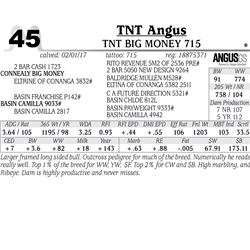 Lot - 45 - TNT Big Money 715