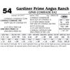 Image 1 : Lot - 54 - GPAR Comrade E42