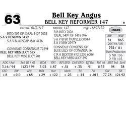 Lot - 63 - Bell Key Reformer 147