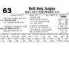 Image 1 : Lot - 63 - Bell Key Reformer 147