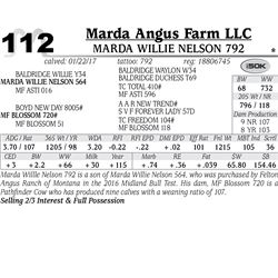 Lot - 112 - Marda Willie Nelson 792