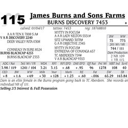 Lot - 115 - Burns Discovery 7453