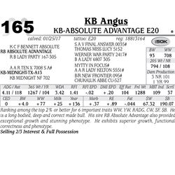 Lot - 165 - KB-Absolute Advantage E20