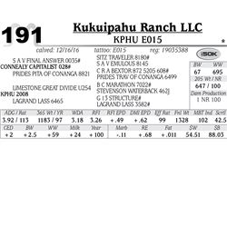 Lot - 191 - Kphu E015