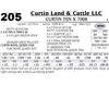 Image 1 : Lot - 205 - Curtin Ten X 7008