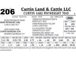 Lot - 206 - Curtin 1682 Payweight 7010