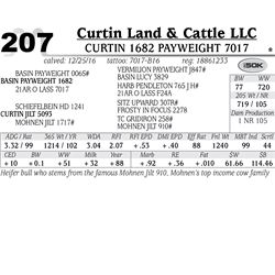 Lot - 207 - Curtin 1682 Payweight 7017